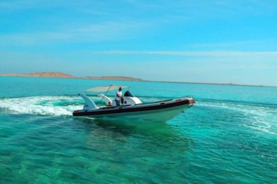 Private Speed Boat Snorkeling Trip to Tiran Island