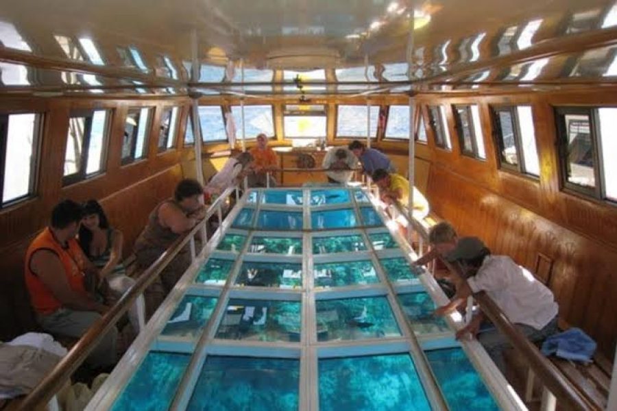 Glass bottom boat